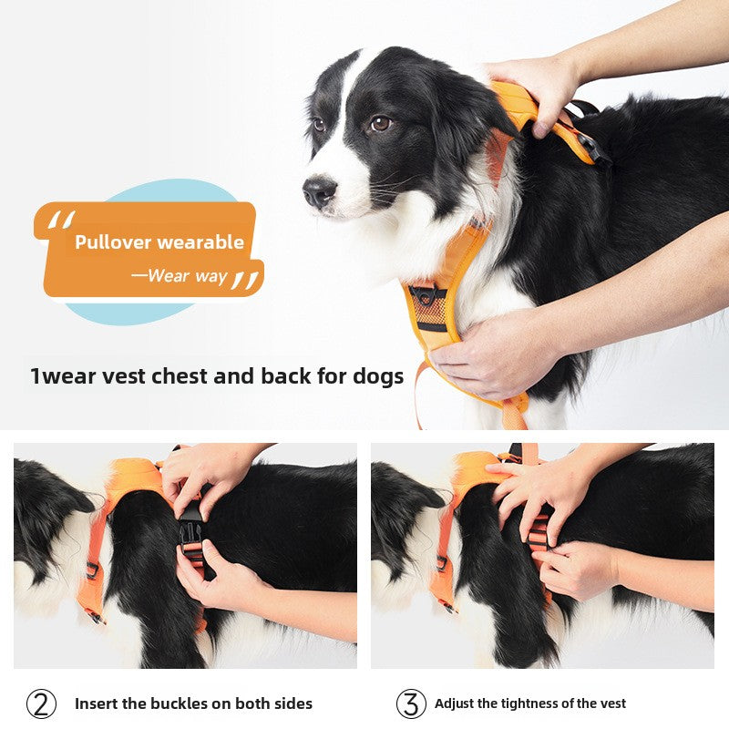 Dog Leash Harness
