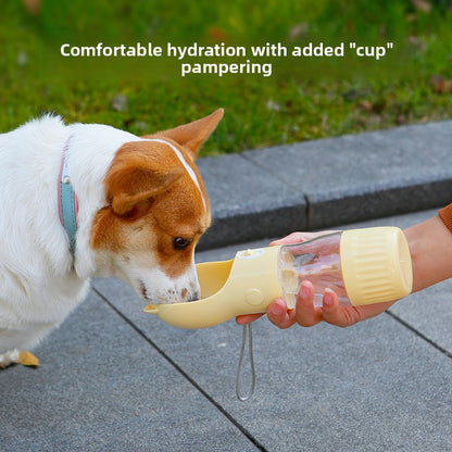 Crossbody Travel Water Bottle