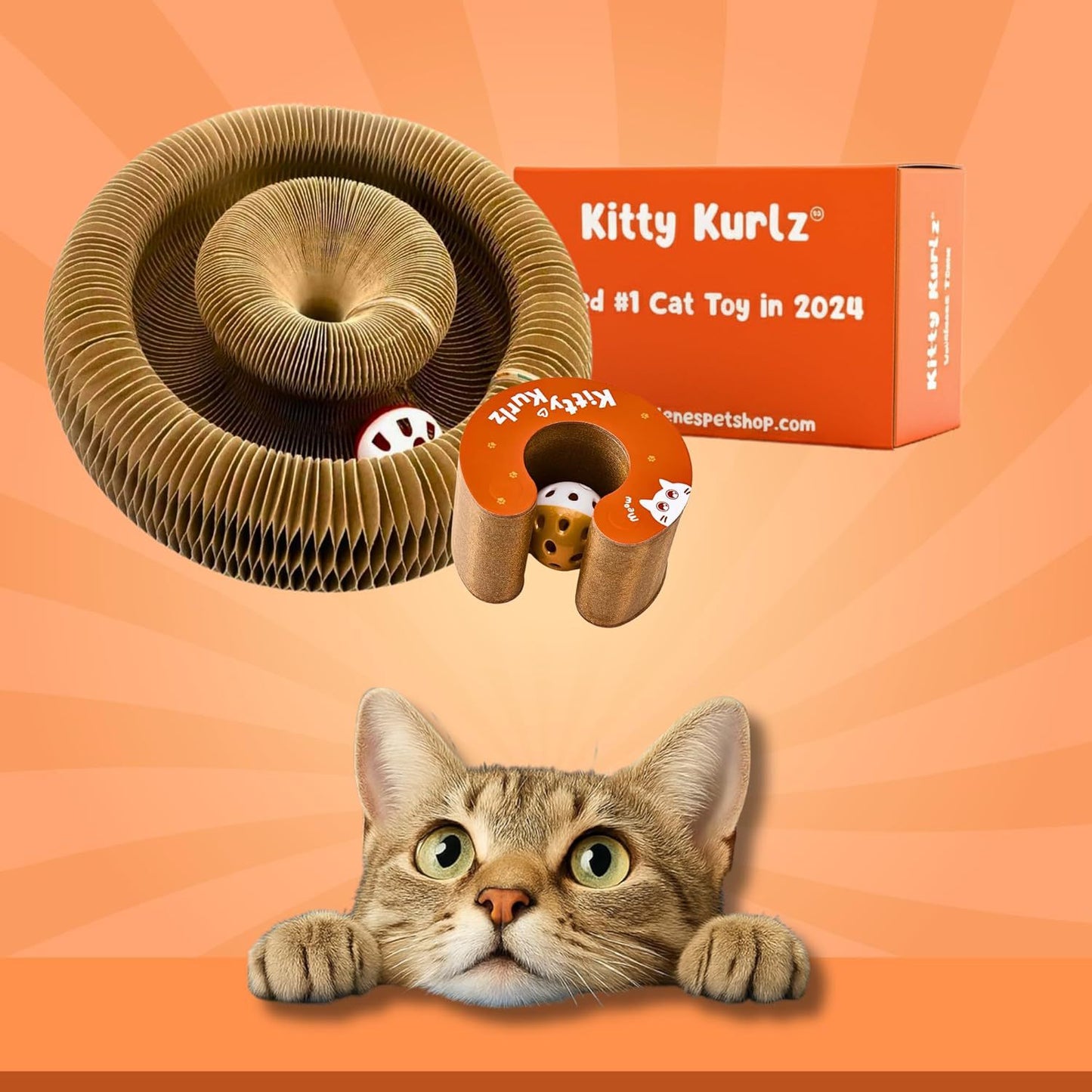 Accordion Cat Scratching Board with Bell