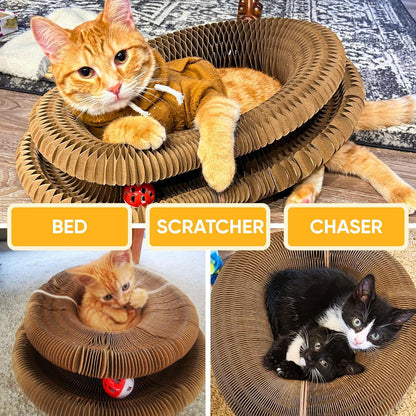 Accordion Cat Scratching Board with Bell