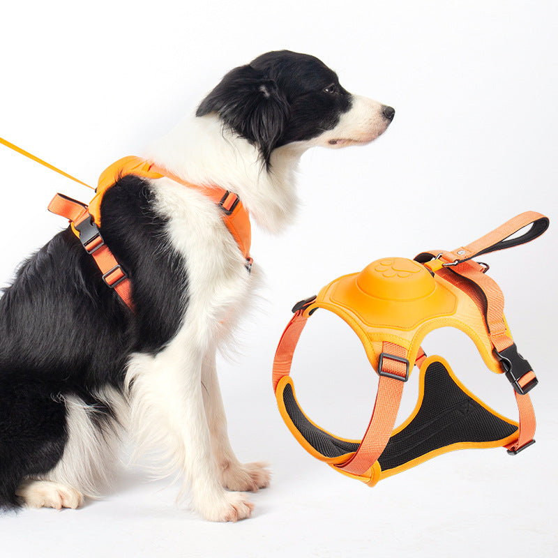Dog Leash Harness