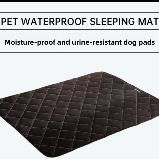 Waterproof and urine-proof carpet for pet dogs