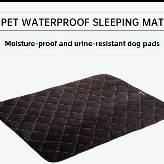 Waterproof and urine-proof carpet for pet dogs